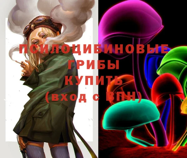наркотики Приозерск