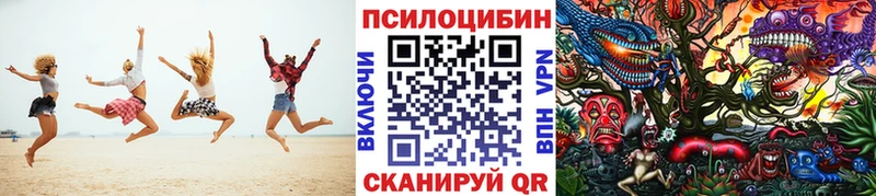Галлюциногенные грибы Psilocybe Серафимович