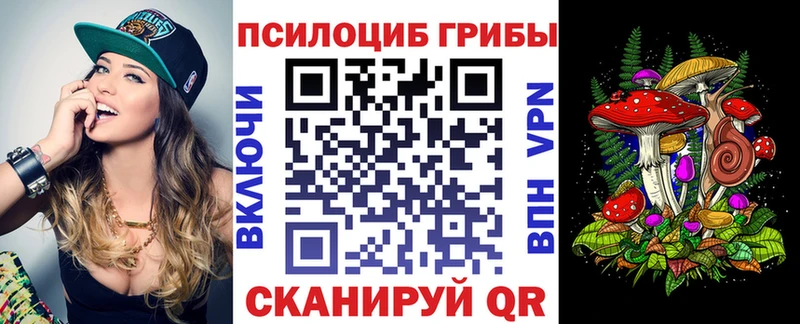 MEGA ссылка  где найти наркотики  Серафимович  Галлюциногенные грибы MAGIC MUSHROOMS 